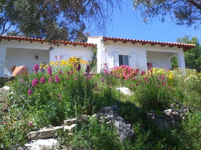 Elena Bungalows Aparthotel Pythagório Rom bilde
